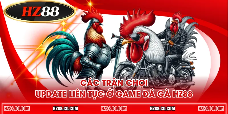 Các trận chọi update liên tục ở game đá gà HZ88